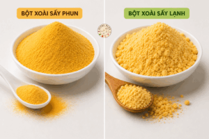5 điểm khác nhau giữa bột xoài sấy phun và bột xoài sấy lạnh